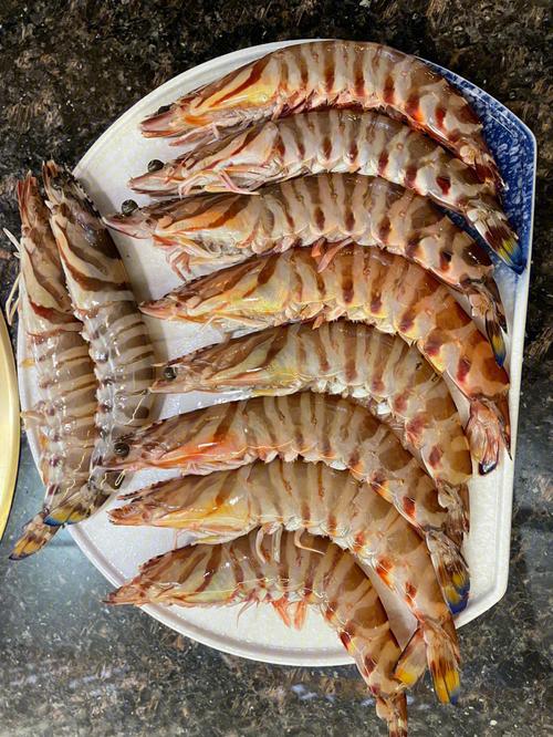 斑节虾是淡水虾还是海水虾,斑节虾是淡水虾还是海水虾呢